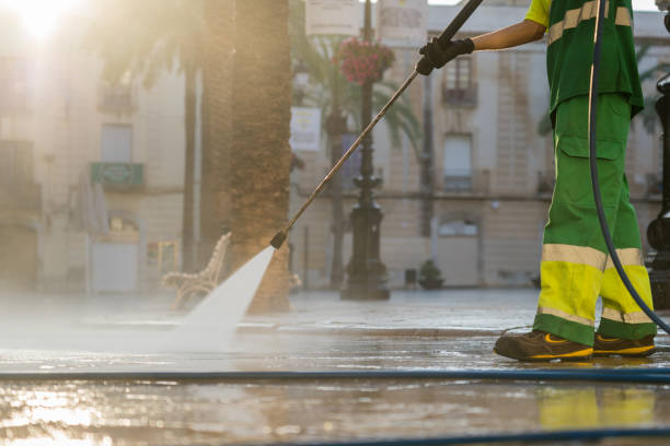 Best Gutter Cleaning and Brightening in Lomira, WI